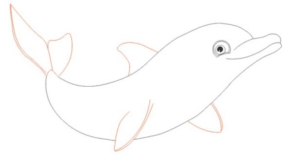 Cum de a desena un delfin în creion pas cu pas pentru copii