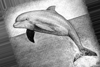 Hogyan kell rajzolni egy delfint ceruzával lépésről lépésre a gyerekek számára