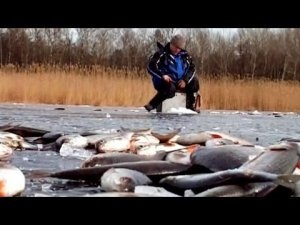 Hogyan találjuk meg a tűzcsapot télen?