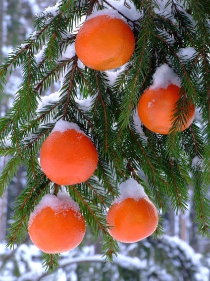 Cum sa atargi un mandarin pe un pom de Craciun