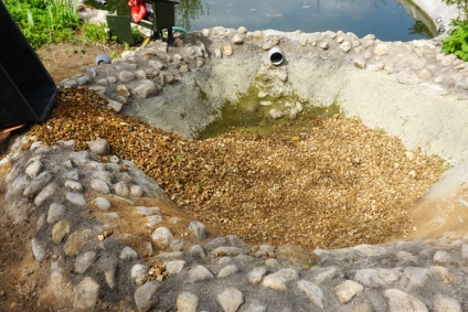 Hogyan építsünk mesterséges mocsarat a dachában - Perunitsa