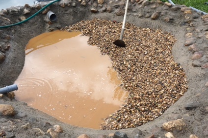 Hogyan építsünk mesterséges mocsarat a dachában - Perunitsa