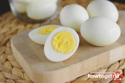 Как да ври съвети яйца
