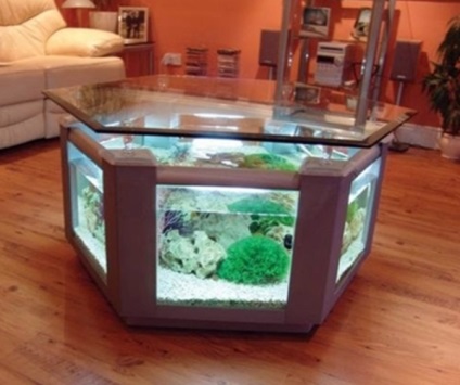 Cum să aranjați un acvariu într-o cameră