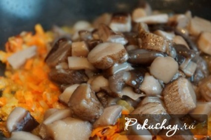 Cum să gătești supa de ciuperci din rețeta fotografică proaspătă podberezovikov