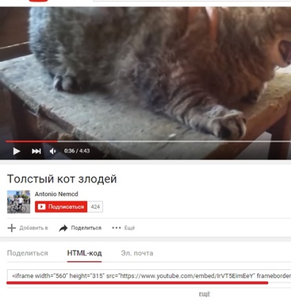 Cum să câștigați pe Internet 10 moduri