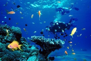 Peștera scufundărilor este o lume periculoasă și atrăgătoare a peșterilor subacvatice