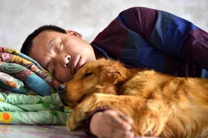 Agentul de afaceri chinez a cumpărat 2 000 de câini pentru a le salva - într-o lume interesantă