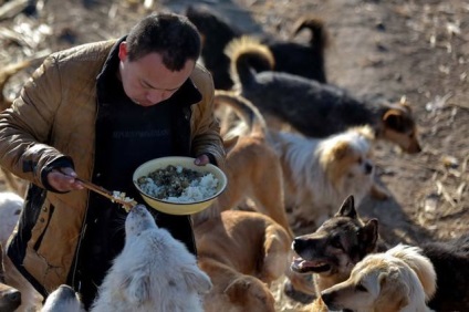 Agentul de afaceri chinez a cumpărat 2 000 de câini pentru a le salva - într-o lume interesantă