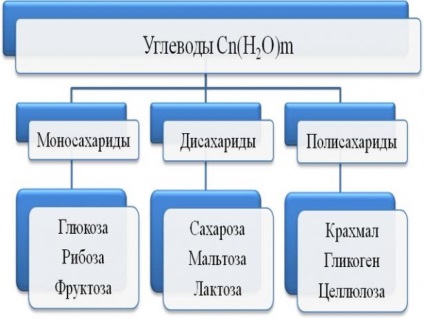 Класифікація вуглеводів