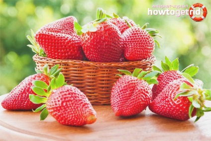 Căpșuni - beneficii și efecte negative asupra sănătății femeilor și bărbaților