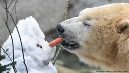 Colinde in germana, poze din Germania, dw