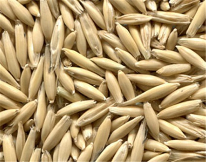 Az amadin gabonatermékek összetevői