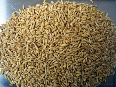 Az amadin gabonatermékek összetevői