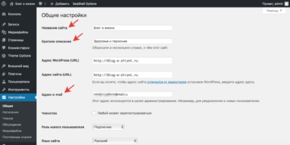 Consola WordPress - cunoștință și o analiză a oportunităților