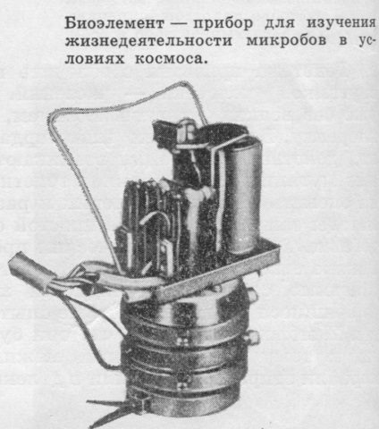 Biologie spațială