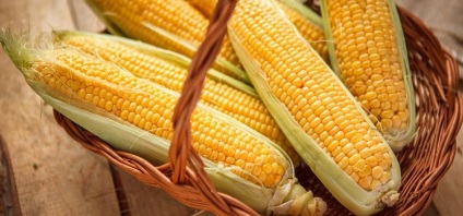 A kukorica hasznos tulajdonságai és ellenjavallatai, egészségügyi előnyei és esetleges káros hatásai