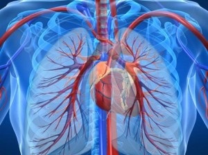 Tratamentul hipertensiunii pulmonare în Israel Opinii, prețuri, clinici