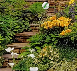 Scări din piatră în grădină, scări de piatră într-un design peisagistic, cum se face o scară frumoasă din