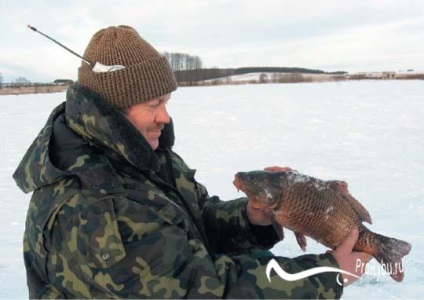Capturarea crap în iarna pe mormyshka și float