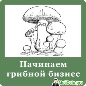 O mică afacere în sat sau în sat - vasta întindere a oportunităților neprețuite