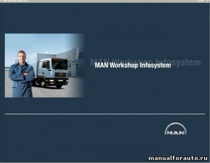 Manwis 2010 manual de reparații