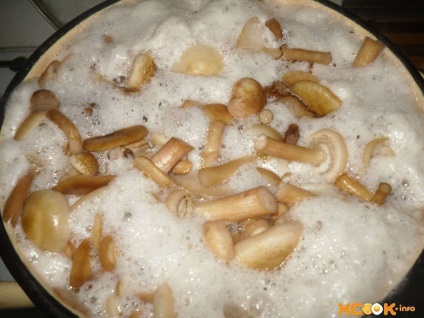 Ciuperci ciuperci - reteta cu o fotografie de ciuperci de gătit