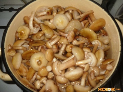 Savanyú gombák - recept gombás gombával