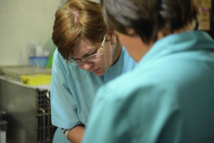 Maria Savinkov fără iubirea de animale, un medic veterinar nu va