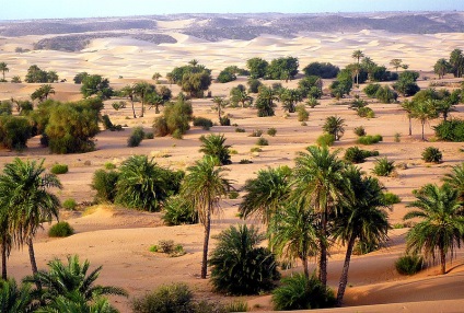 Mauritania - la granița deșertului