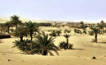 Mauritania - la granița deșertului