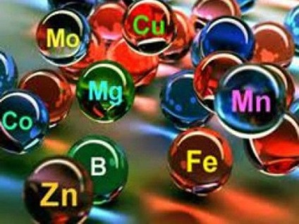 Mineraliști-controlori ai proceselor metabolice, competenți în domeniul sănătății asupra ilivei