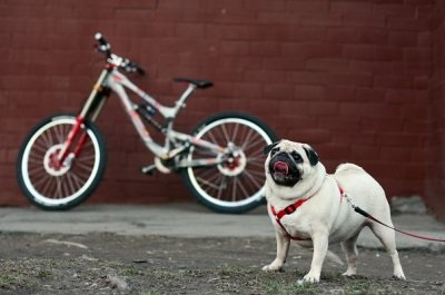 Montate atașamente pentru biciclete