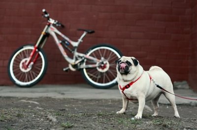 Montate atașamente pentru biciclete