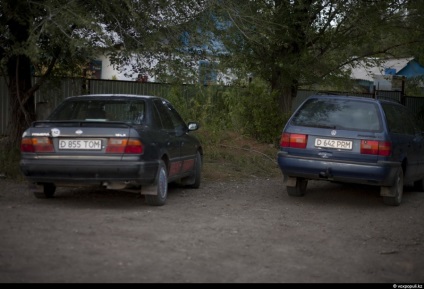 Vindecarea unui vindecător - știri în fotografii