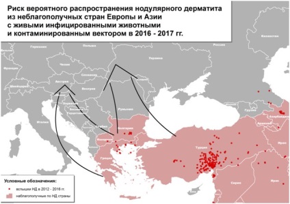 Dermatita nodulară a tratamentului bovinelor (bovine)