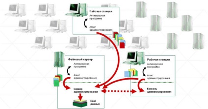 Cunoștințe, prelegere, protecția antivirus a rețelei de calculatoare