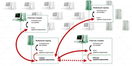 Cunoștințe, prelegere, protecția antivirus a rețelei de calculatoare