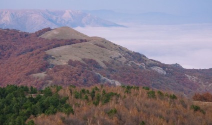 Volumul și profunzimea fotografiei, pro pro fotografie