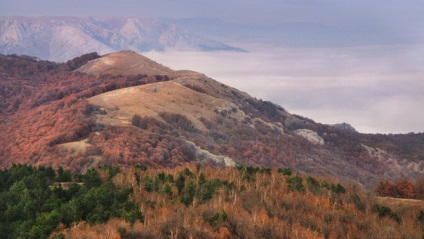 Volumul și profunzimea fotografiei, pro pro fotografie