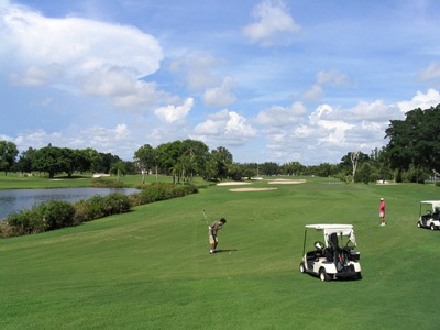 Despre golf, cursuri de golf