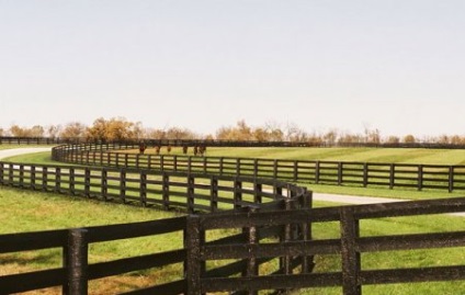 Gardul locului Levada - despre cai