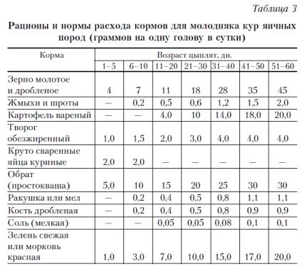 Caracteristicile puiilor de hrănire