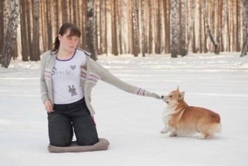 Open-zaykroy - зайче - забавни трикове куче - freiwind - развъдник на немски овчарки,