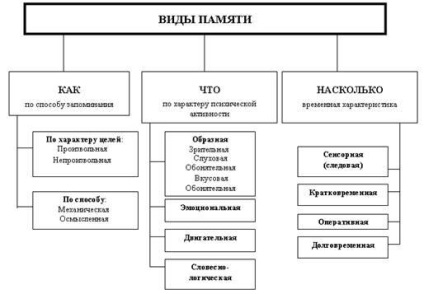 Memoria, tipurile și procesele ei - psihologia