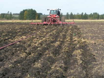 Állati hulladékok feldolgozása - agroxxi