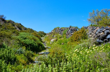 Gyalogos útvonal a fenyőből júliusban - ez az, ahol szerelmes vagy Santorinibe - 2015. július 12. - enciklopédia