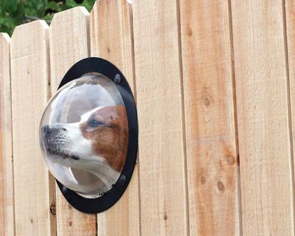 Pet peek - az ablak a világba a kutyádnak