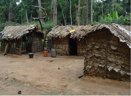 Pygmies - trib pitic, Africa