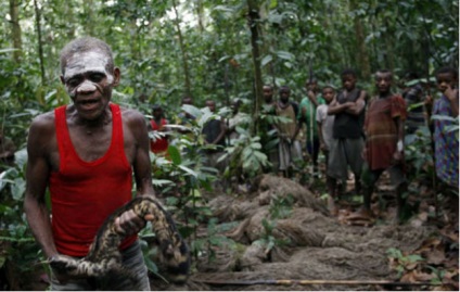 Pygmies - trib pitic, Africa
